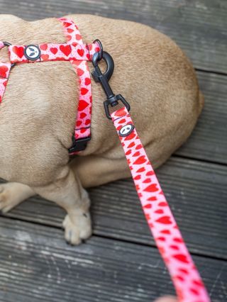 Oblíbené barvy kšírků ma webu❤️Vybrali sme 6 oblíbených potisků a máte je tam i s vodítkem, tak na ně mrkni, tento tvar je...