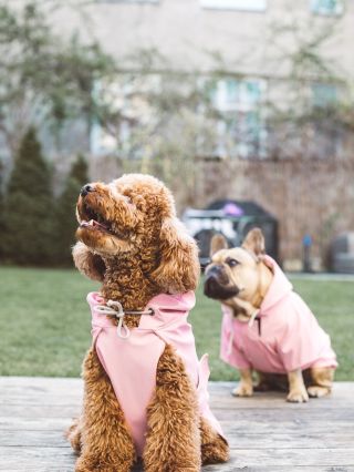 Dnes je den úplně na novou pláštěnku🫶Co ty na to už máš tuhle naši stylovku? Výběr z hodně barev💙🩵🤎🩷...