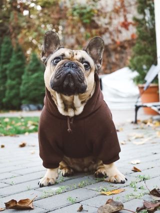 Podzimní barvičky a mezi nima tadle sladká čokoládička🤎😆Surinka #bff#newhoodie#love#brandforfrench#bestfriendforever#surinka