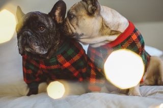 Psamarádi vono se to nezdá, ale listopad uteče jak voda a máš tu Vánočky a co si budem? Máš už správnej vohoz na návštěvu...