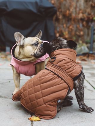 Nové typy vestiček jsou ja webu brácho a je největší čas začít psát ježíškovi o novej vohoz🫶🤎🩷 Sice měkouše nemá nikdo...