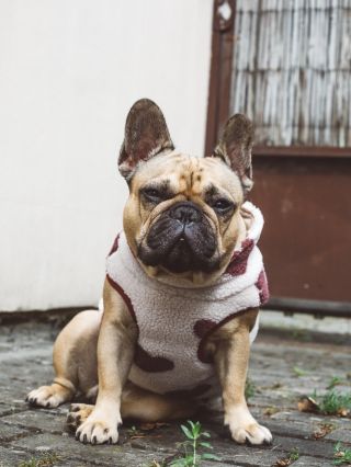 Srdíčková vesta, protože sem prý mom srdíčko❤️Co řikáte na tuhle vestičku, je vhodná na zimu je pěkně plyšová jako já...